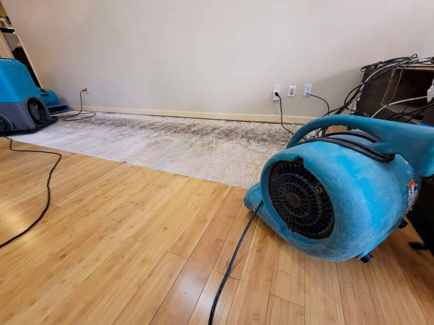 Professional Water Damage Repair technician working in Minersville, PA